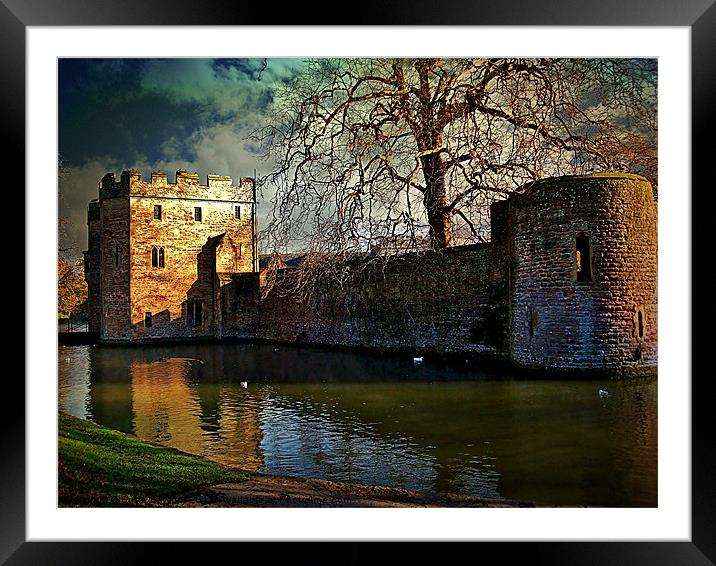 The Bishops Palace. Framed Mounted Print by Susie Hawkins