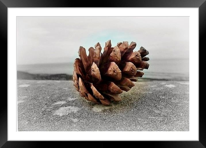 Pine cone Holiday! Framed Mounted Print by Susie Hawkins