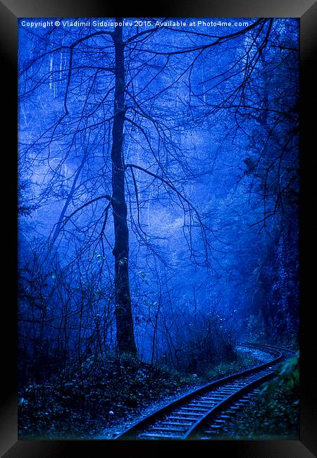  In the dark blue forest Framed Print by Vladimir Sidoropolev