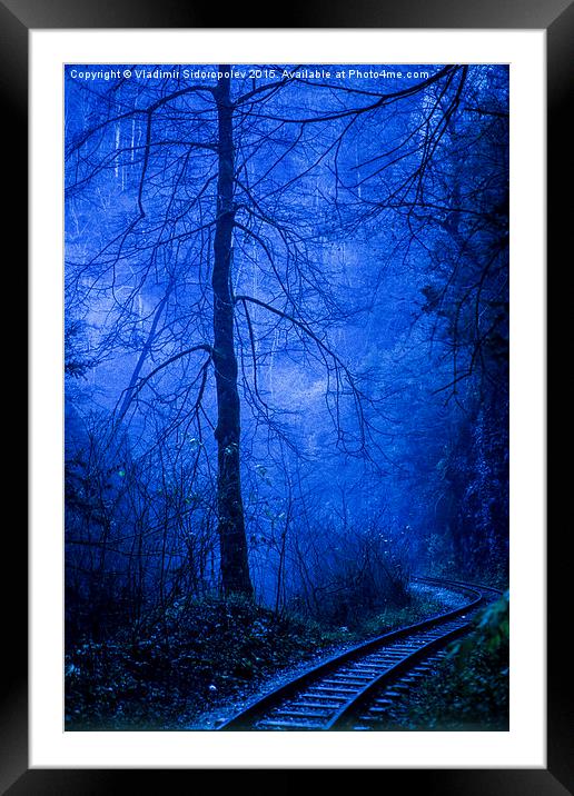  In the dark blue forest Framed Mounted Print by Vladimir Sidoropolev