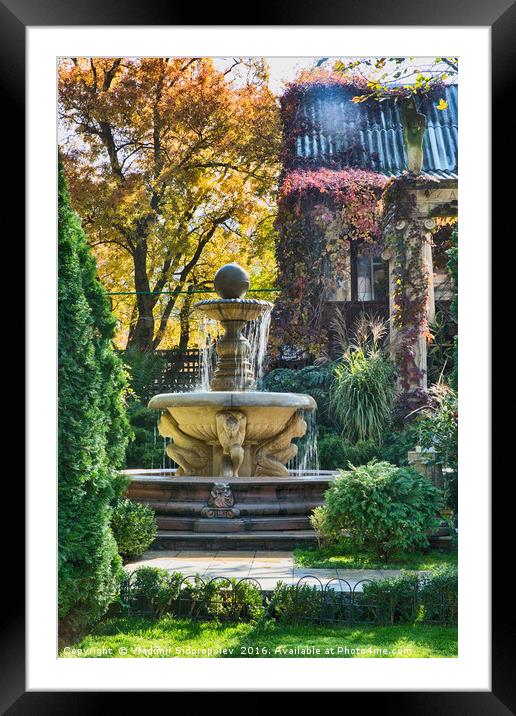 Fountain in old Park Framed Mounted Print by Vladimir Sidoropolev
