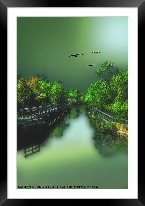 THE OLD CANAL Framed Mounted Print by Tom York