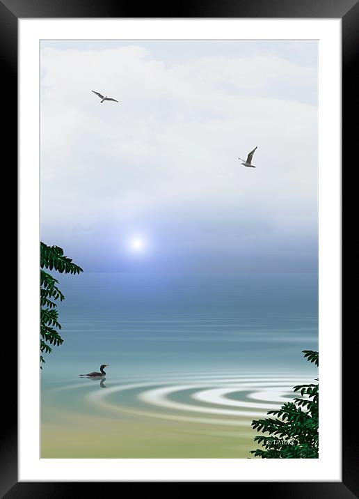 SEA OF SERENITY Framed Mounted Print by Tom York