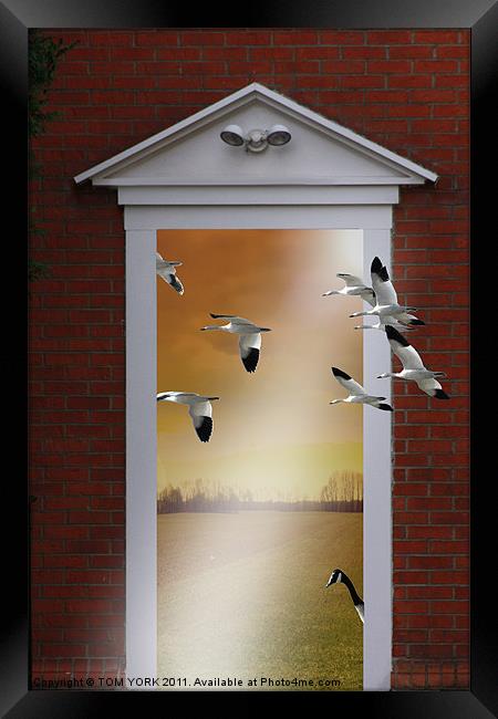 WELCOME HOME Framed Print by Tom York