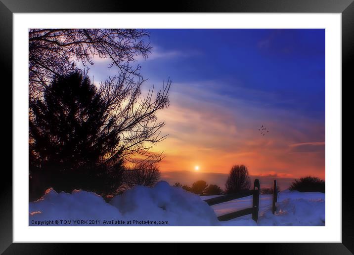 WINTER GLOW Framed Mounted Print by Tom York