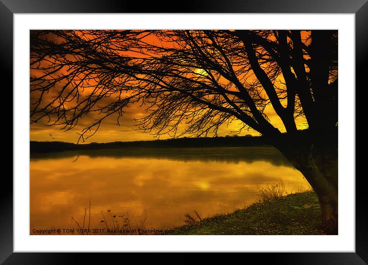 ONE MORE NIGHT Framed Mounted Print by Tom York