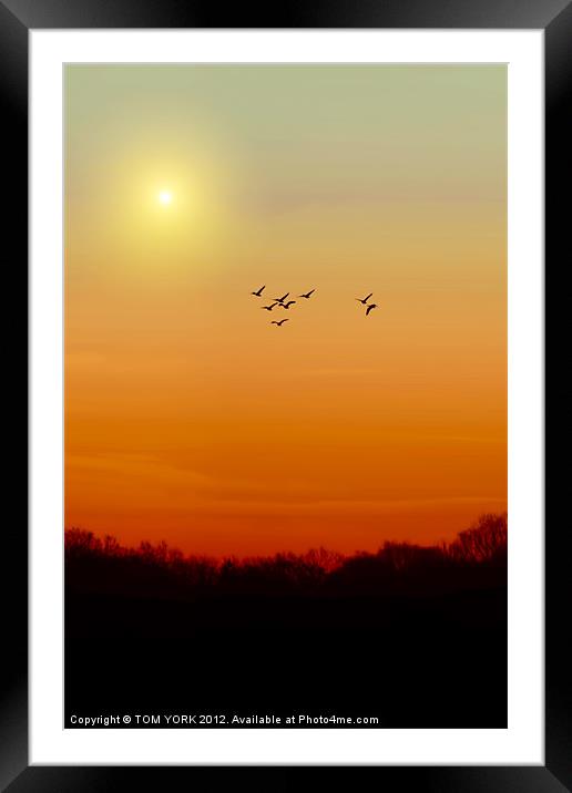 SAILING THE SKY Framed Mounted Print by Tom York