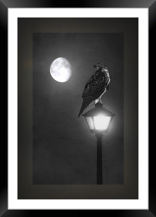 IN THE STILL OF THE NIGHT Framed Mounted Print by Tom York