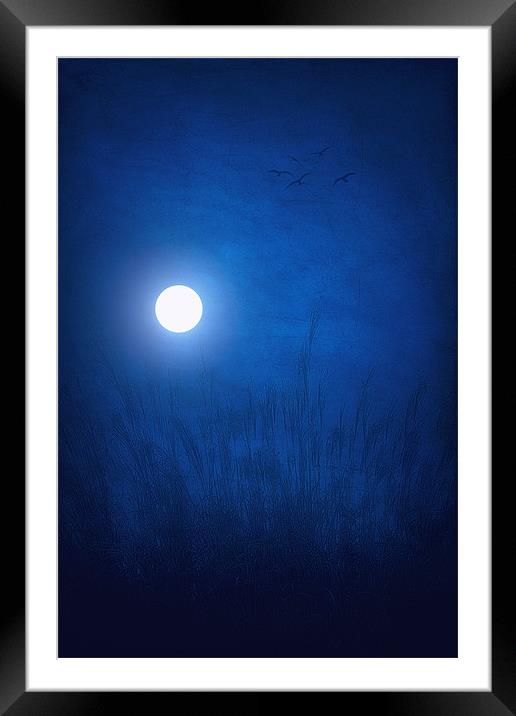SKY BLUE Framed Mounted Print by Tom York