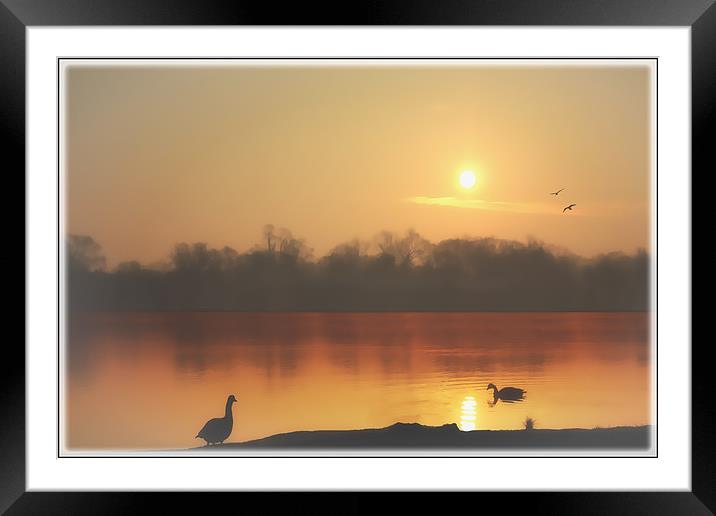 BABY COME BACK Framed Mounted Print by Tom York