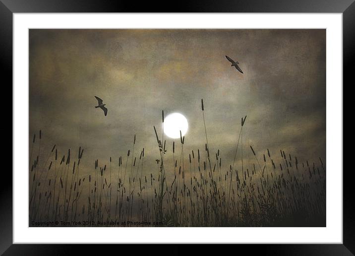 LOVERS MOON Framed Mounted Print by Tom York