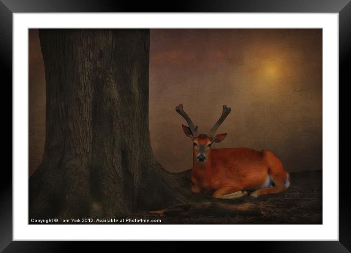 A MOMENT TO RELAX Framed Mounted Print by Tom York