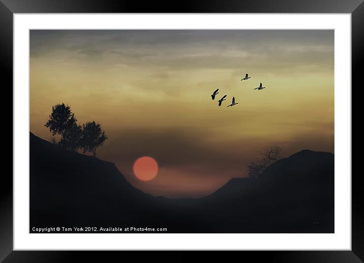 SUNSET VALLEY Framed Mounted Print by Tom York