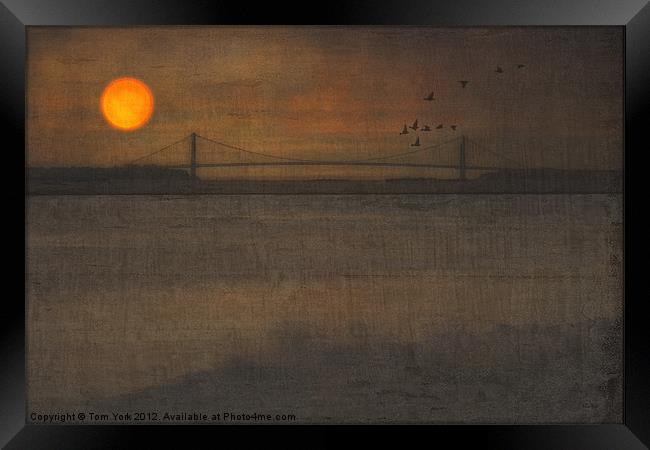 SUNSET ON THE VERRAZANO BRIDGE Framed Print by Tom York