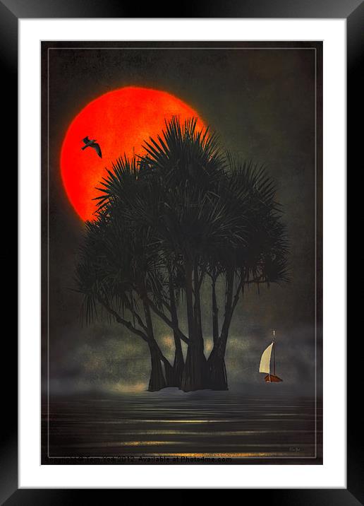 PALM TREES IN THE SUNSET Framed Mounted Print by Tom York