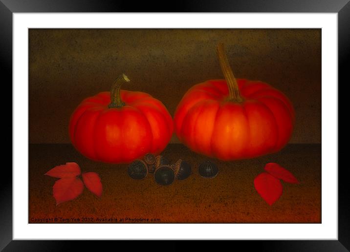 SIGNS OF AUTUMN Framed Mounted Print by Tom York