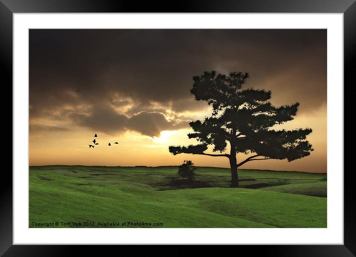 THE DAY IS DONE Framed Mounted Print by Tom York