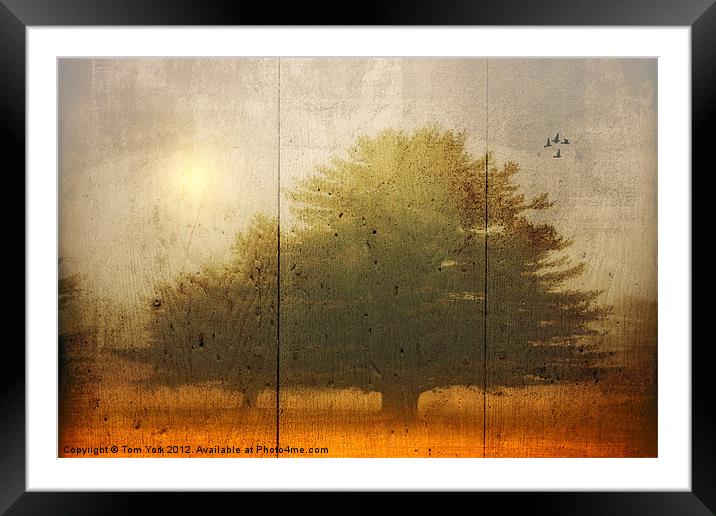 NATURE Framed Mounted Print by Tom York
