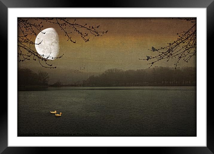 LUNAR LAKE Framed Mounted Print by Tom York