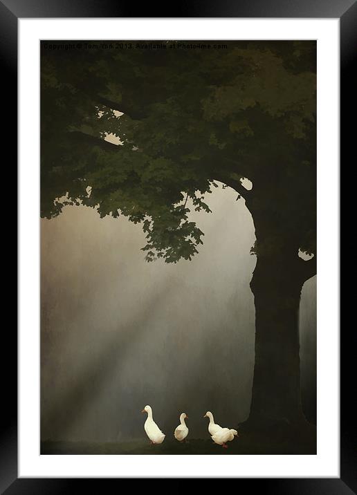 A MEETING UNDER THE TREE Framed Mounted Print by Tom York