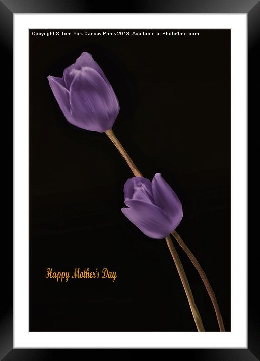 A MOTHERS DAY WISH Framed Mounted Print by Tom York