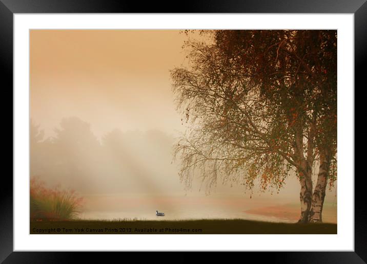 MISTY MORNING BEAUTY Framed Mounted Print by Tom York