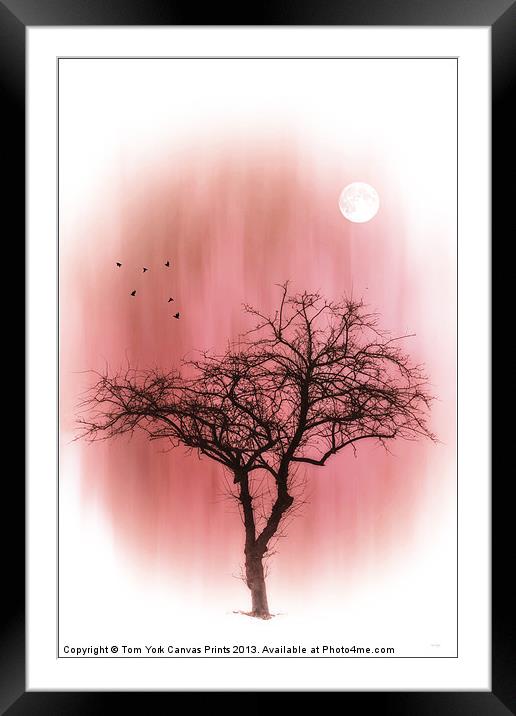 A TREE IN PINK Framed Mounted Print by Tom York