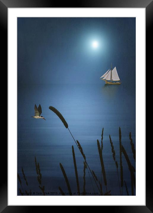 AT SEA Framed Mounted Print by Tom York
