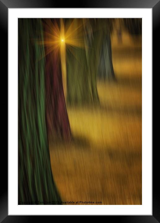 THE RAINBOW FOREST Framed Mounted Print by Tom York