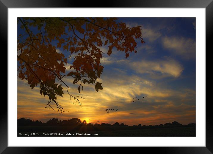 COUNTRY SUNSET Framed Mounted Print by Tom York