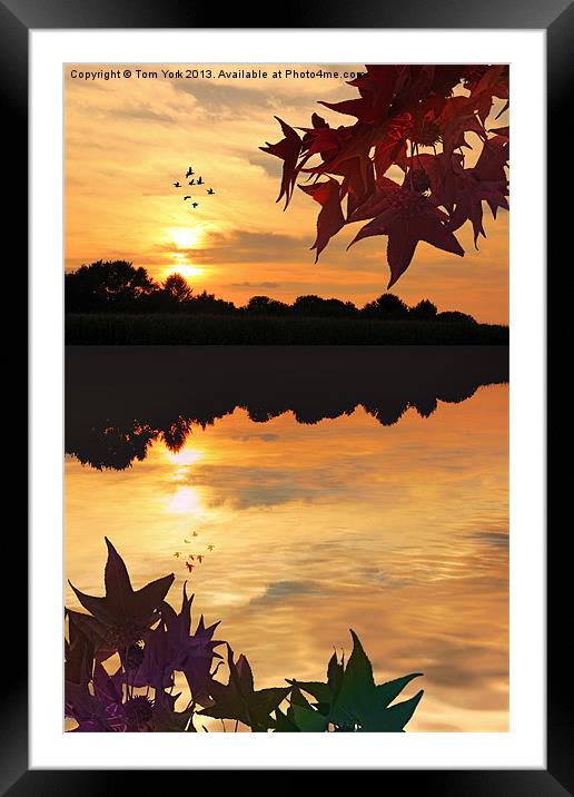 AS THE SUN SETS Framed Mounted Print by Tom York