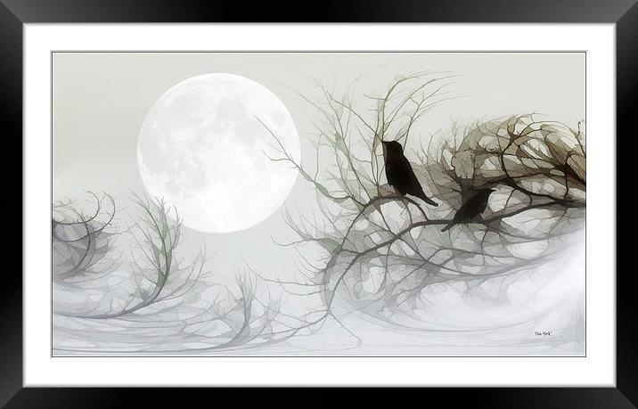 JACKDAWS IN THE MOONLIGHT Framed Mounted Print by Tom York