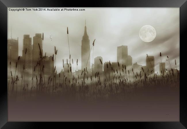 New York In The Fog Framed Print by Tom York