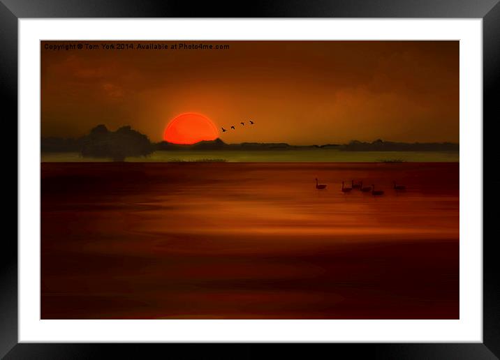 Orange Sunset Framed Mounted Print by Tom York
