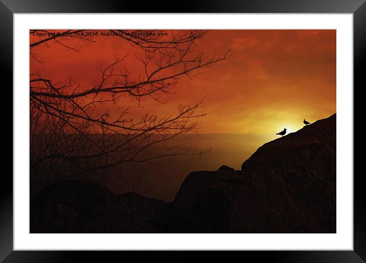Enjoying The Sunset Framed Mounted Print by Tom York
