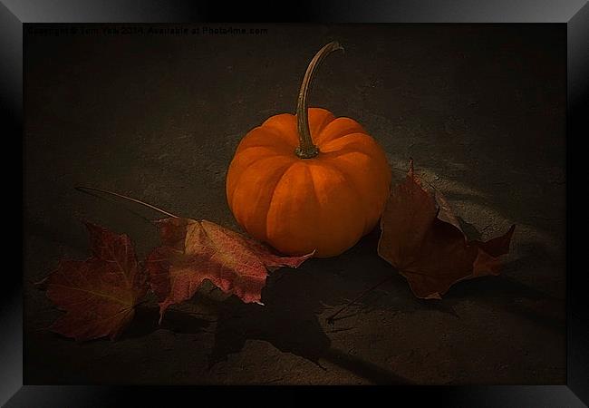 It's Autumn Framed Print by Tom York