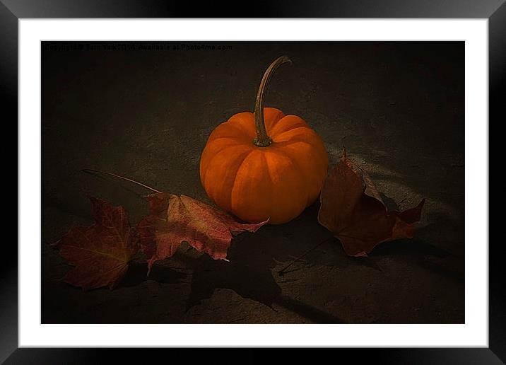 It's Autumn Framed Mounted Print by Tom York
