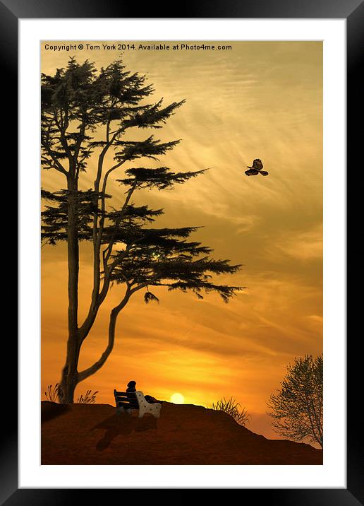 Girl On A Bench At Sunset Framed Mounted Print by Tom York