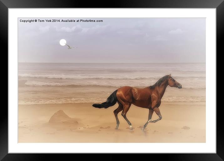 Running Free Framed Mounted Print by Tom York