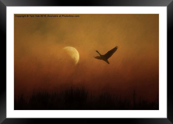 Leaving The World Behind Framed Mounted Print by Tom York