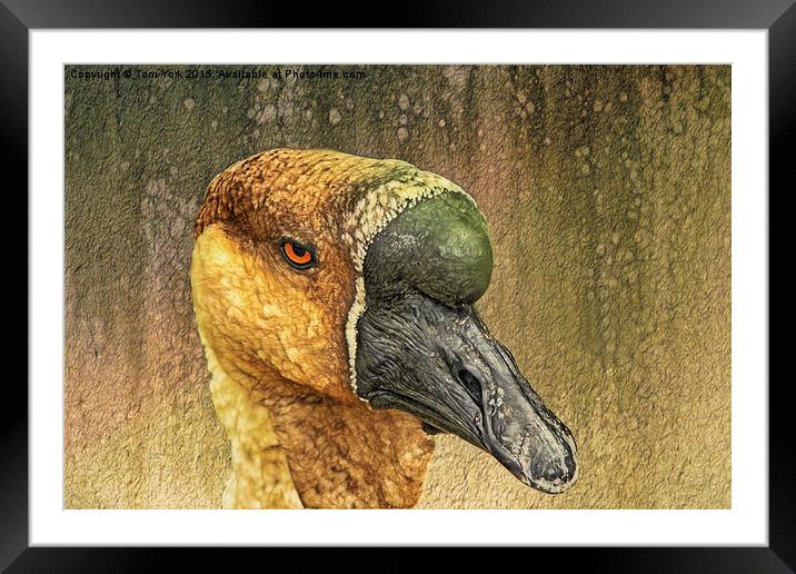 Golden Goose Framed Mounted Print by Tom York