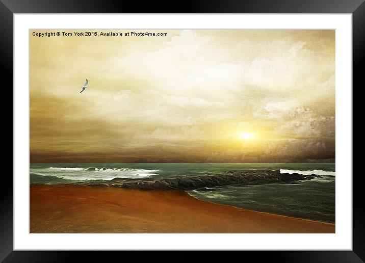 An Ocean Breeze Framed Mounted Print by Tom York