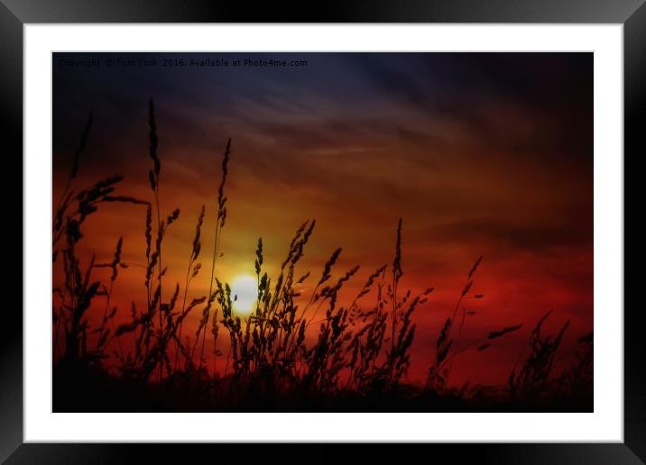 Nocturnal Sunset Framed Mounted Print by Tom York
