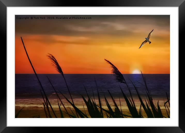 Summer At The Beach Framed Mounted Print by Tom York