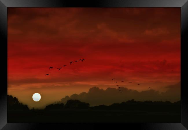 Into A Scarlet Sky Framed Print by Tom York