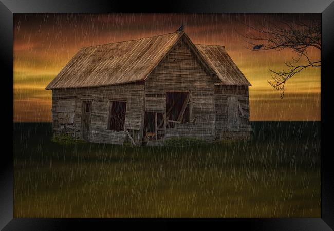 Shelter From The Storm Framed Print by Tom York