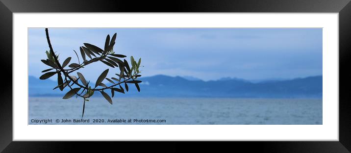 Olive tree on Lake Garda Framed Mounted Print by John Basford