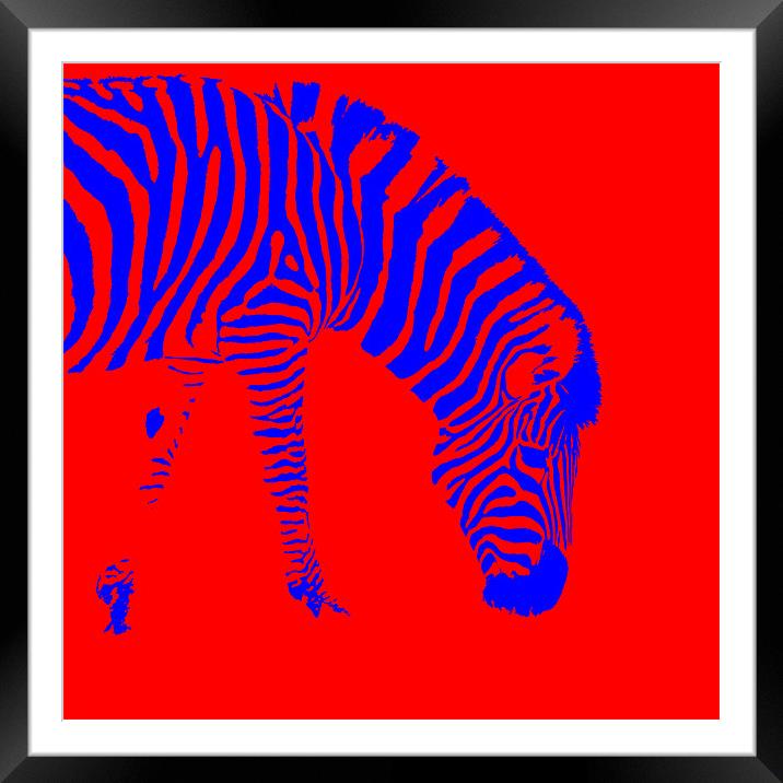 Stripes colour Framed Mounted Print by John Basford