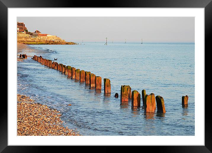 Selsey Shore Framed Mounted Print by Darrin Collett