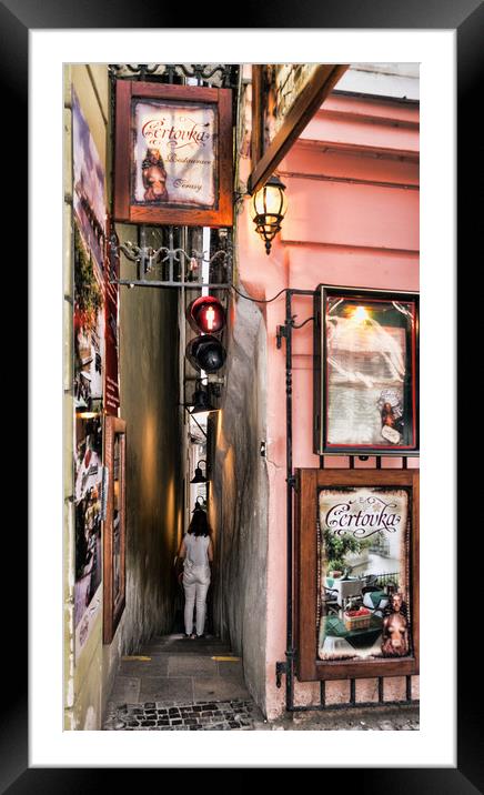 Restaurant Certovka, Prague Framed Mounted Print by Geoff Storey